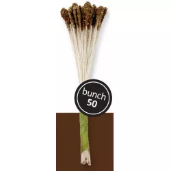 Pestíky – hnědá lilie 50 ks