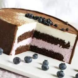 Zmes na výrobu nadýchaného tmavého korpusu - Piškót extra tmavý (0,5 kg) 5769