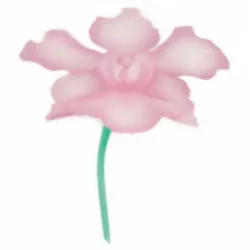 Stencil pre airbrush orchidea