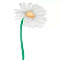 Stencil pre airbrush karafiát