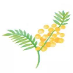 Stencil pre airbrush Mimóza vetvička