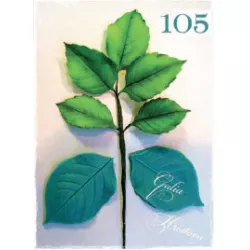 Silikónová forma na žilkovač lístkov ruže, 5×8 cm