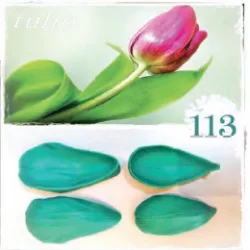 Silikónová forma žilkovávačka