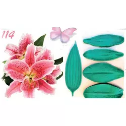 Silikónová forma žilkovača orchidey