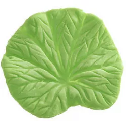 Žilkovač list Foglia 53x54 mm