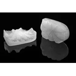 Žilkovač list Foglia 105x65 mm