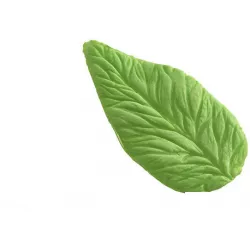 Žilkovač list Foglia 43x81 mm