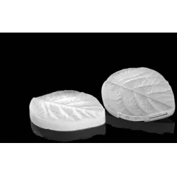 Žilkovač list Foglia 90x37mm