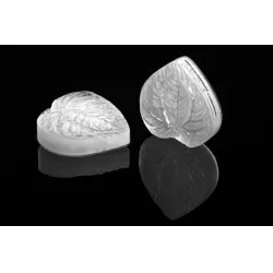 Žilkovač list Foglia 73x73 mm