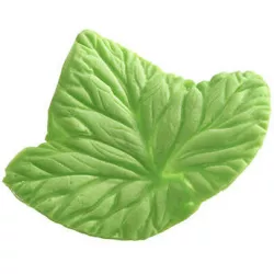 Žilkovač list Foglia