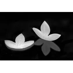 Žilkovač list Foglia 130x95 mm