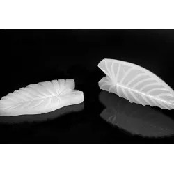 Žilkovač list Foglia 160x80mm