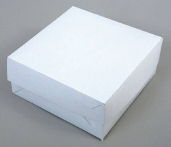 3256.jpg