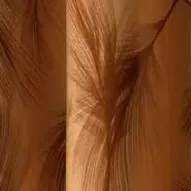 Transfer fólie 40x25 cm Plumen