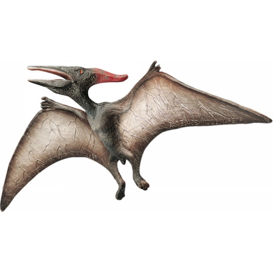 Tortová figúrka Pteranodon 30x5cm