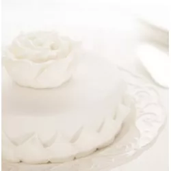 Roll Decor potahovacia hmotа 2,5 kg