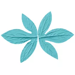 Žilkovač list 12×9 cm