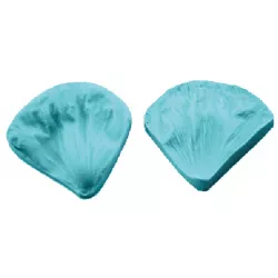 Žilkováč okvetný lup 8×8 cm