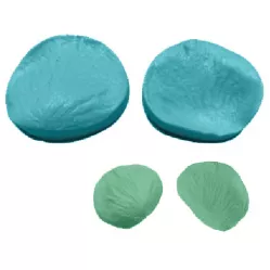 Žilkováč okvetný lístok 3×3 cm