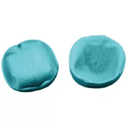 Žilkováč okvetný lup 5×4 cm