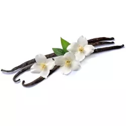 Gurmánska prvotriedna vanilka triedy A - vanilkový struk 1 ks