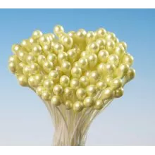 Perleťové žlté pestíky svazek