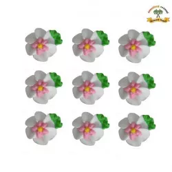 Cukrová ozdoba kvety biele na platničke 9ks