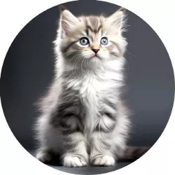 Jedlý papier malé mačiatko 19,5 cm