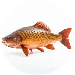 Jedlý papier kapra 19,5 cm