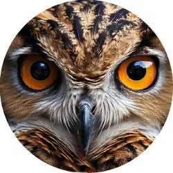 Jedlý papier sova 19,5 cm