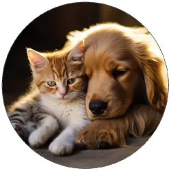 Jedlý papier pes spící s kotětem 19,5 cm