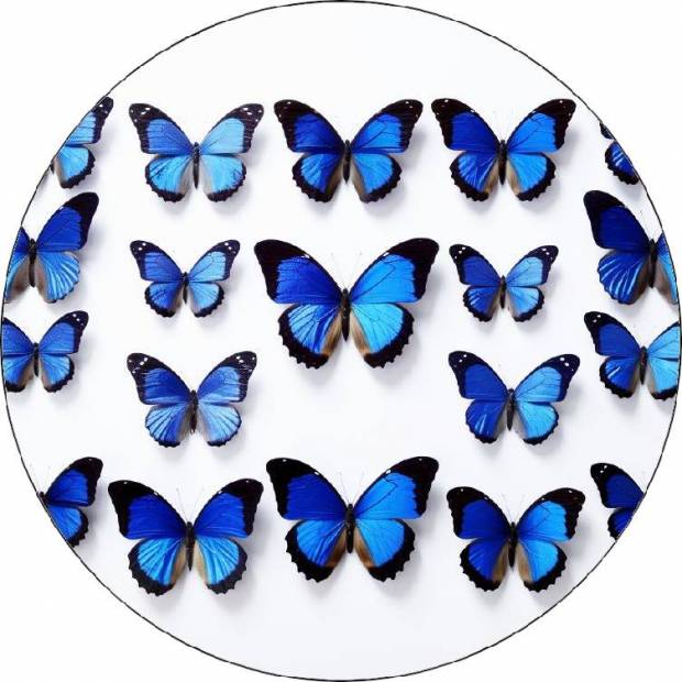Jedlý papier modrí motýli 19,5cm