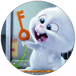 Jedlý papier Tajný život domácich mazlíčikov králik 19,5 cm