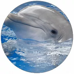 Jedlý papier delfín s hlavou nad hladinou 19,5 cm