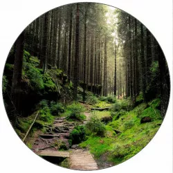 Jedlý papier lesná stezka 19,5 cm