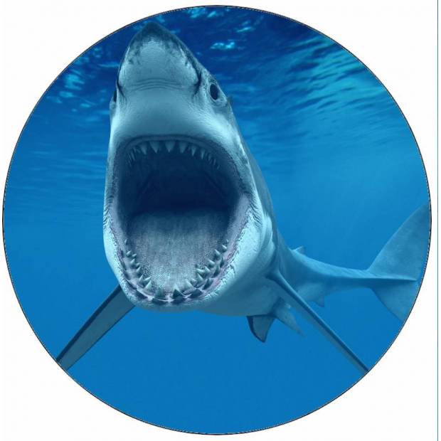 Jedlý papierový žralok s otvorenou papuľou 19,5 cm