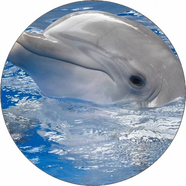 Jedlý papierový delfín s hlavou nad vodou 19,5 cm