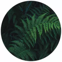 Jedlý papier lesná kapraď 19,5 cm