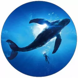 Jedlý papier veľryba 19,5 cm