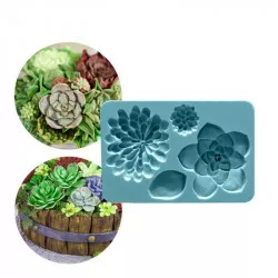 Silikónová forma Sukulent, 12 × 8 cm