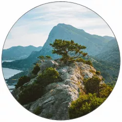 Jedlý papier strom na skale 19,5 cm