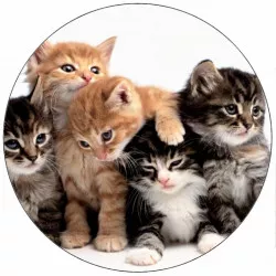 Jedlý papier mačiatka 19,5 cm