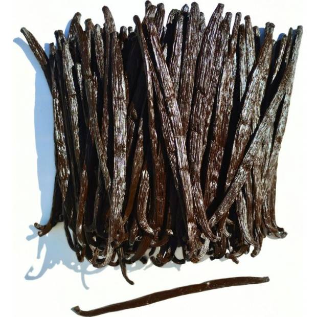 Exkluzívny vanilkový struk z Ugandy 250g