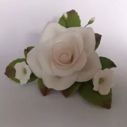 Cukrová ruža - biela, ružový okraj