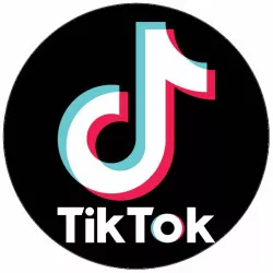 Jedljiv papir TikTok 19,5 cm