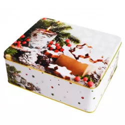 Plechová dóza na cukrovinky 21x17x8 cm LESNÉ VIANOCE