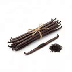 Vanilkový struk Bourbon – Gourmet, 10 ks / Grade A (16 cm +)