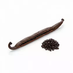 Vanilkový struk Bourbon – Gourmet 1 ks / Grade A (16 cm+)