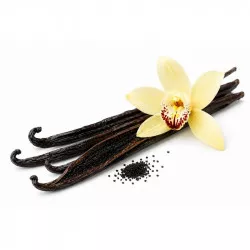 Vanilkové semienka z Madagaskaru, 20 g