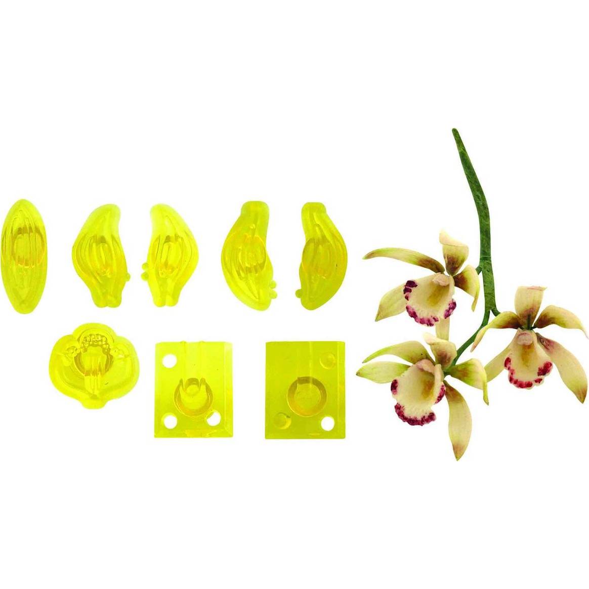E-shop Vykrajovačky 8 ks – malá orchidea Cymbidium